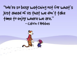 &ldquo;We&rsquo;re so busy watching out for what&rsquo;s just ahead of us that we don&rsquo;t take time to enjoy where we are.&rdquo; - Calvin and Hobbes.