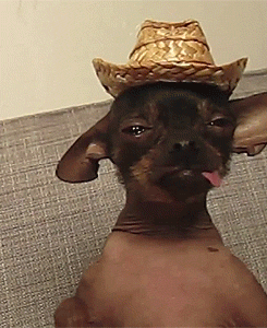 zootedboy:  after she suck me up   