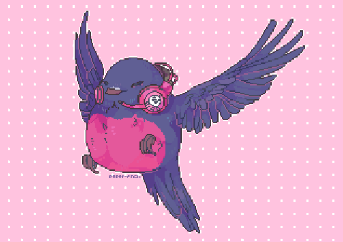 pink robin