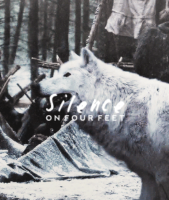 wolfsfall:“Ghost did not count. Ghost was closer than a friend. Ghost was a part of him.&rdquo