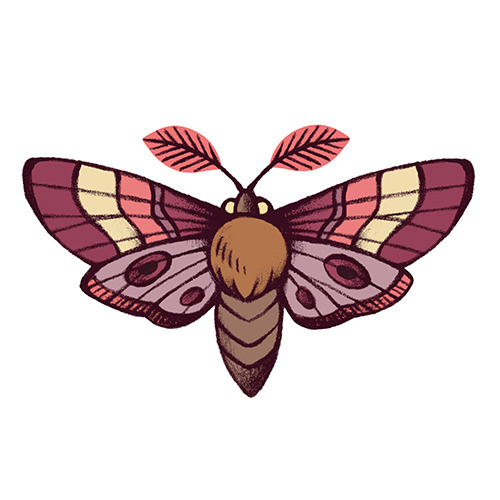 Wooden Moth Charms