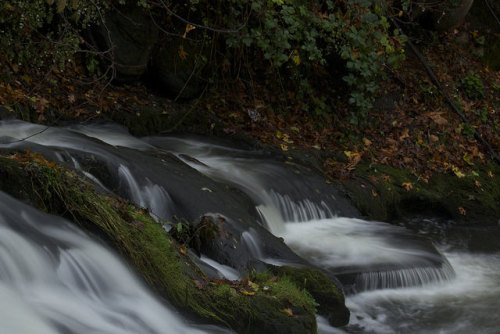 Whatcom Creek Log by Dos Con Mambo on Flickr.