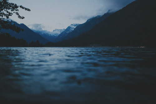 theantiquated:Olympic National Forest | a fist full of bolts photography