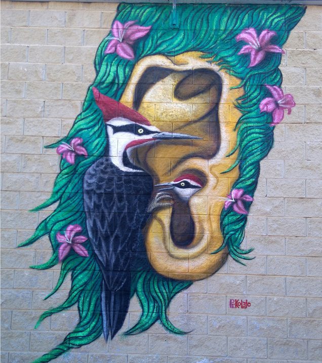 streetartglobal:  Beautiful mural from @pekolejo in #Spain. #globalstreetart (http://globalstreetart.com/pekolejo)