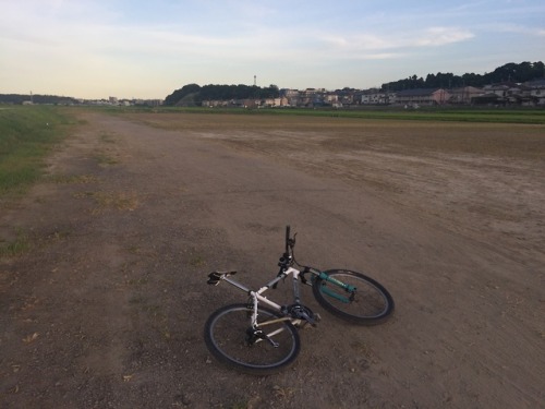 xizang325:  2019/8/6  宴の跡