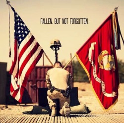 Always reblog 😢❤️ Semper Fidelis 