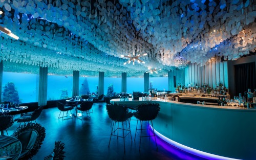 incandescent-angel:  sixpenceee:At the Per Aquum Niyama resort in the Maldives, customers can dine with the fishes while seated at an underwater restaurant. To reach the restaurant, called Subsix, diners must take a speedboat 500 meters from the coast