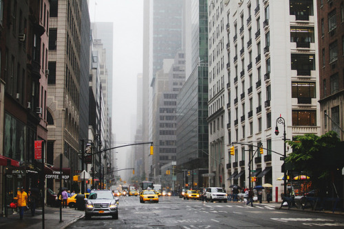 englishsnow:   Amy Holt 