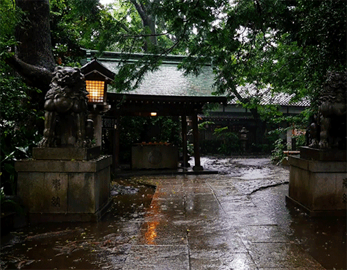 boozerman:Tokyo Okusawa Shrine