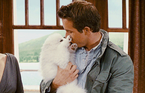 duchessofhastings: THE PROPOSAL (2009) starring Ryan Reynolds as Andrew Paxton 