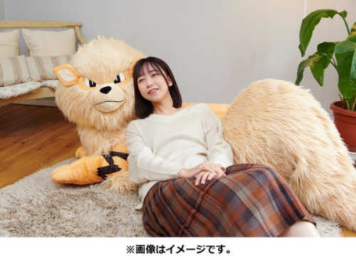 Pokemon Center Arcanine plush bedPreorder only from Sep 24 - Oct 31st 202149,500 YenPictures and pro