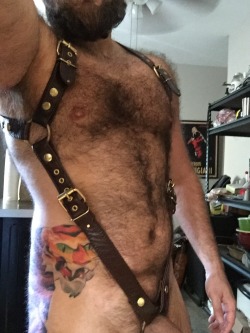 ginger-beef:  djcubster:  New harness from Mr. S Leather I bought during Folsom! I also have the suspended straps, so yay for versatility!   wowza!