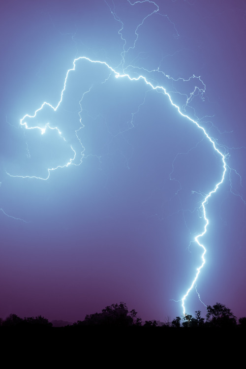 Last night we had the first thunderstorm of the year! …and I managed to capture this bolt o’ lightni