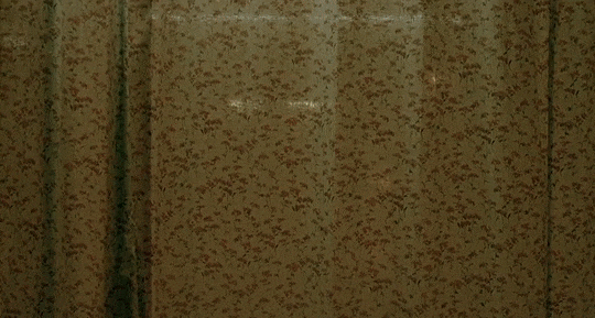 d769d4fdf884bf9f75ada0de821acaef51167d24.gifv