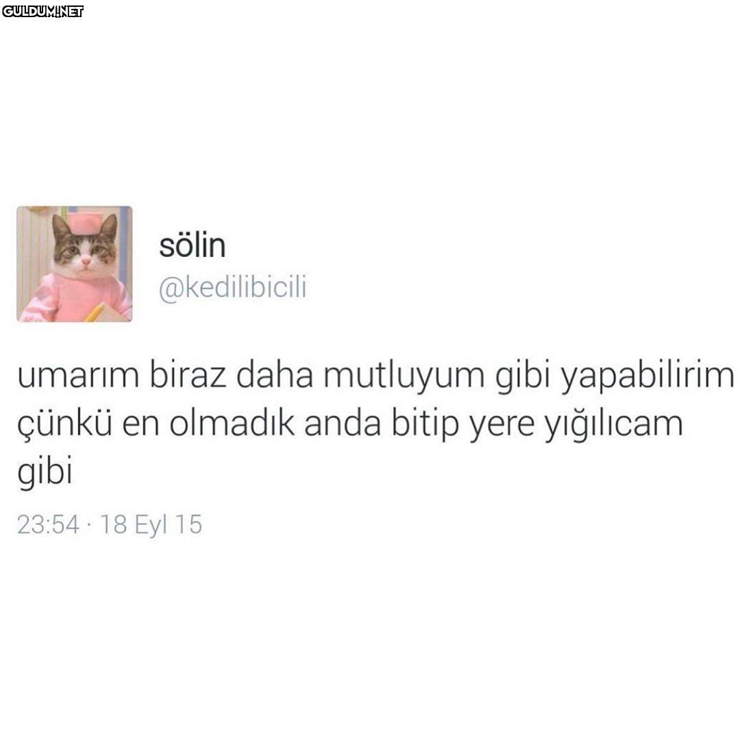 sölin @kedilibicili umarım...