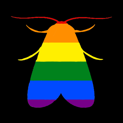 Happy Pride Month!