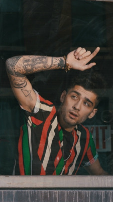 celebpits:  Zayn MalikThanks!