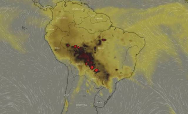 feralrosie:Regarding the Amazon RainforestI barely have followers here, but here we go:The Amazon Rainforest has been burning for the last 16 days straight. The Brazilian government says the wildfire is caused by the winter itself, since it doesn’t