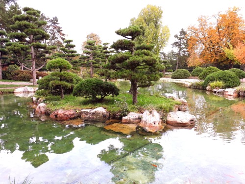 cosmicfriend:japanese garden in dusseldorf