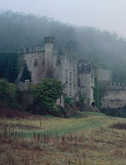 feuillestomber:Gwrych Castle, North Wales