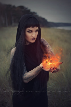 Monarch of the flame by Estelle-Photographie