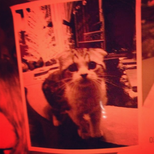 redtournews:Meredith’s picture in Club RED (x)