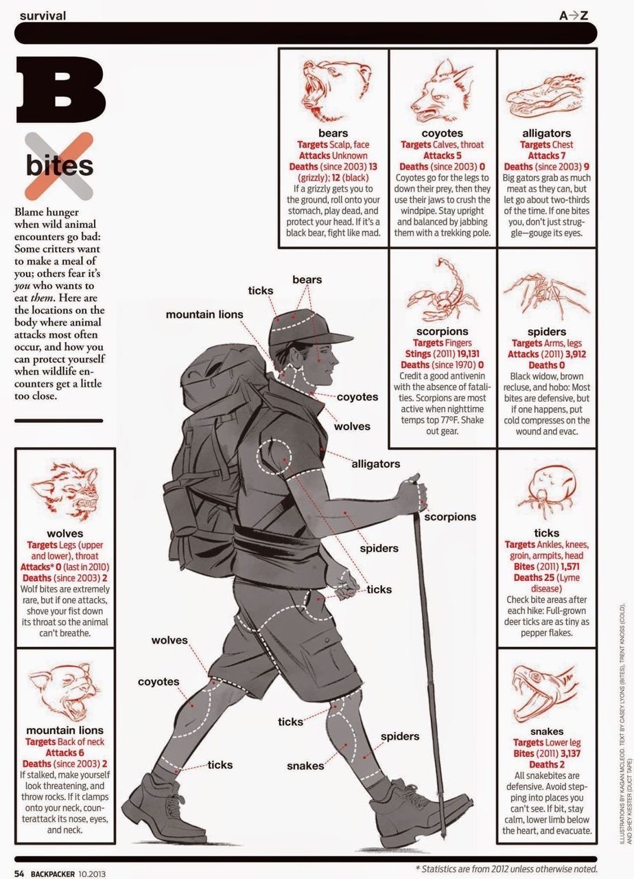 Brown recluse spider bite