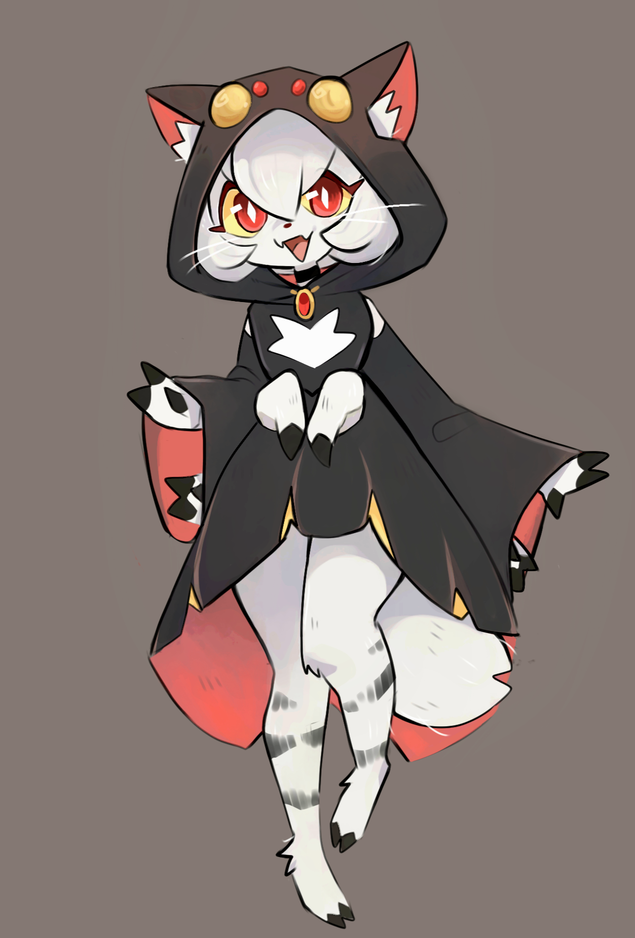popillia:Jumping spider cat!