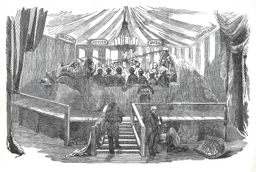 ‘Dinner in the Iguanodon’ lithograph from the London Illustrated News 1854. When the Great Exhibitio