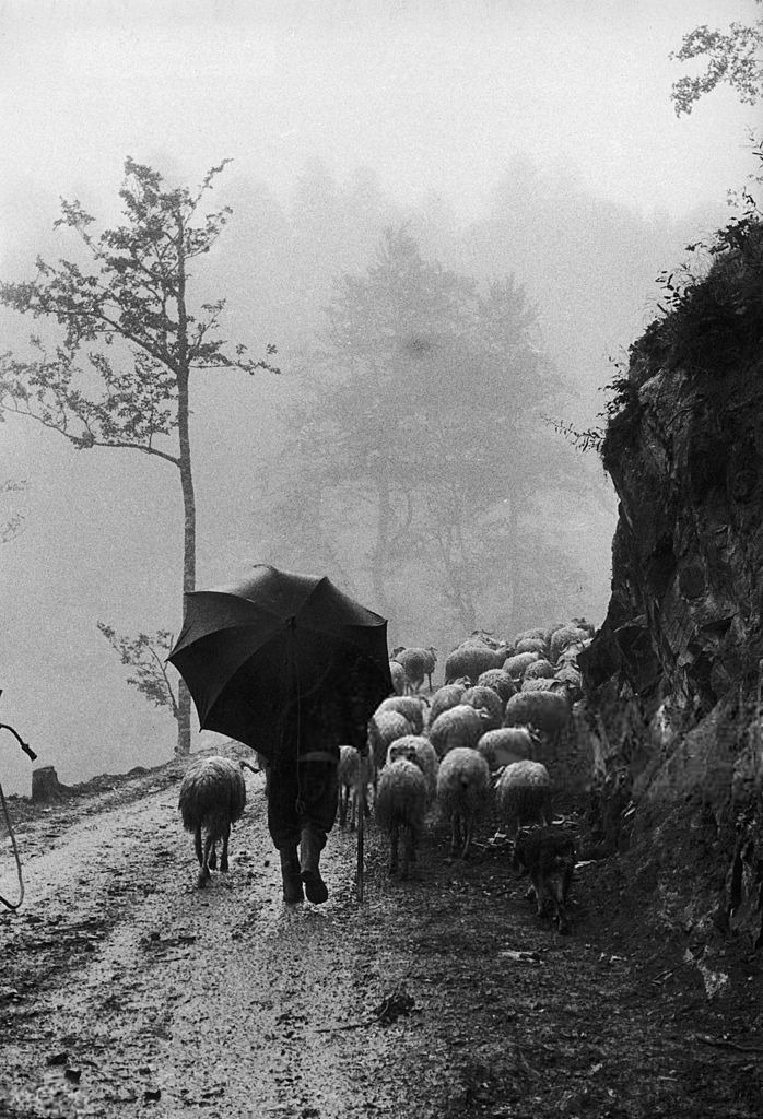 undr:
“Edouard Boubat. Transhumance In The Pyrenees. 1960
”