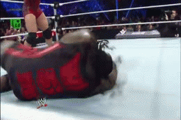shieldgirlwwe:  My bestie asked me to gif this lmfao.