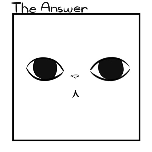 thememorycardisfull:  The Answer 