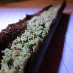 Always High, Never Dry