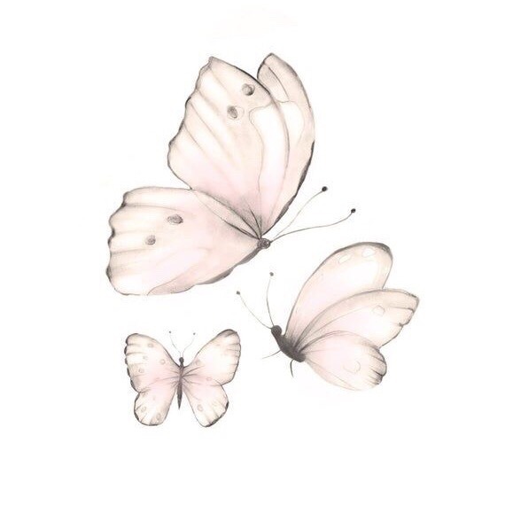 Featured image of post Light Pink Aesthetic Pictures Butterfly