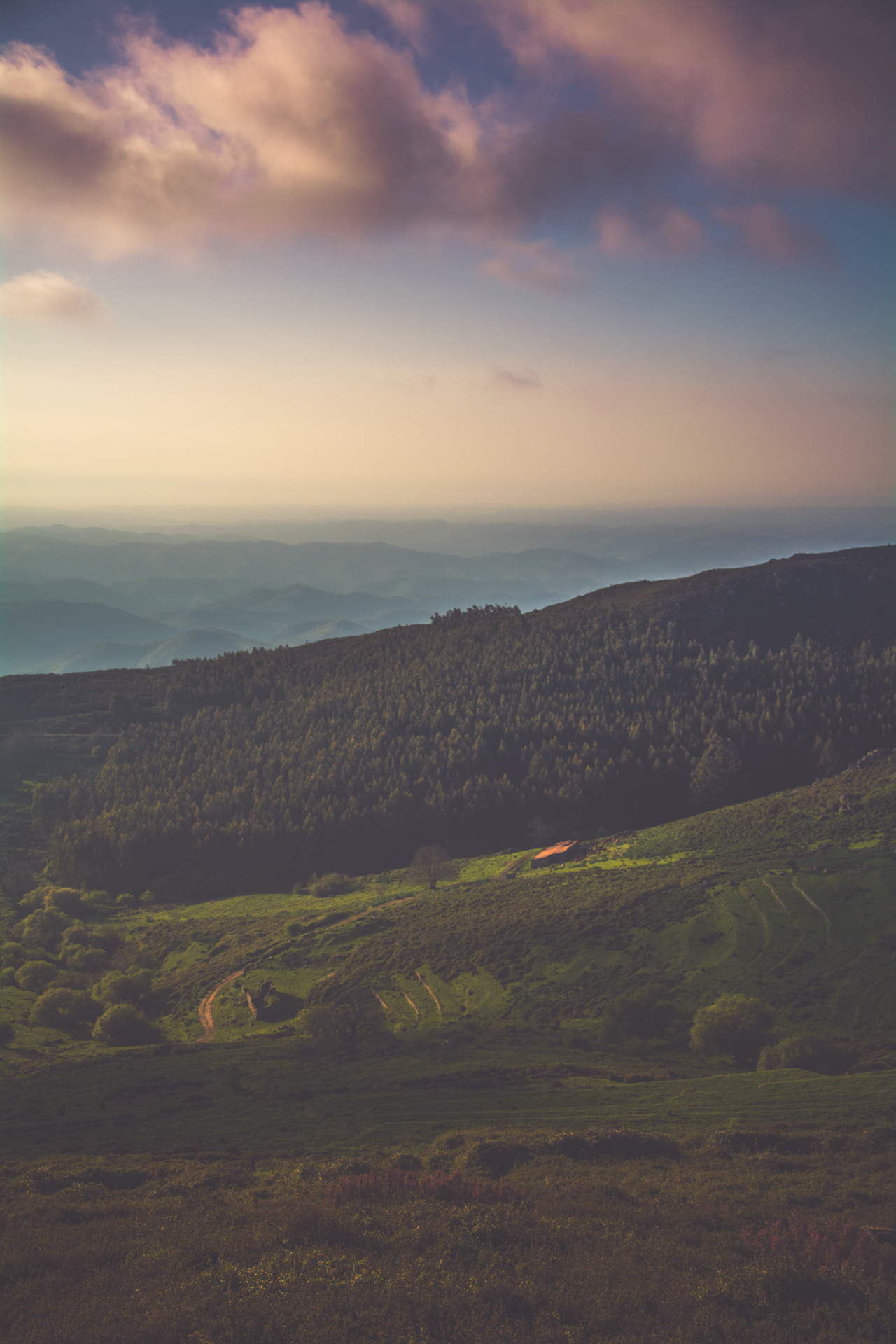 pedromgabriel:  -   Breath of Life   - 