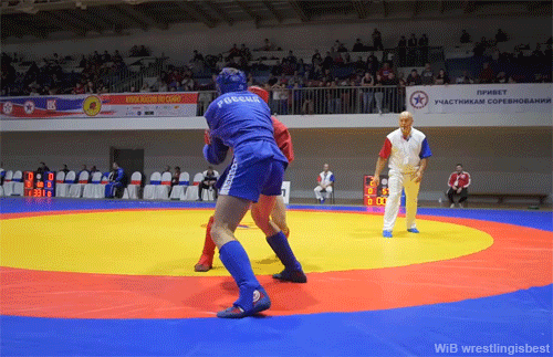 Wrestling is Best