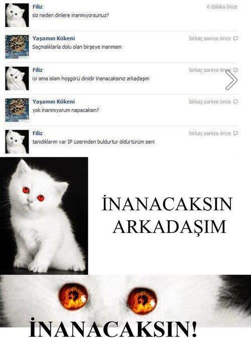 Dolunay Seher