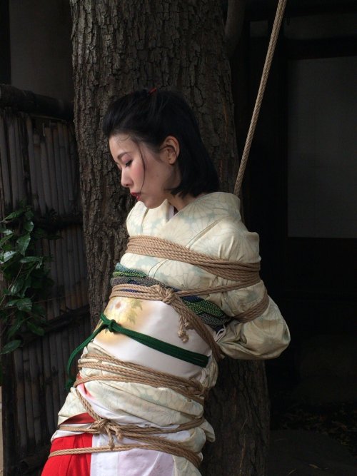 justscreenshots: Shibari Naka AkiraModel Nanako Takamiya