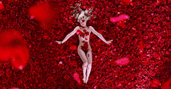 jakegyllonhaal:  “If people I don’t even know look at me and want to fuck me, it means I really have a shot at being a model.” American Beauty (1999) dir. Sam Mendes  