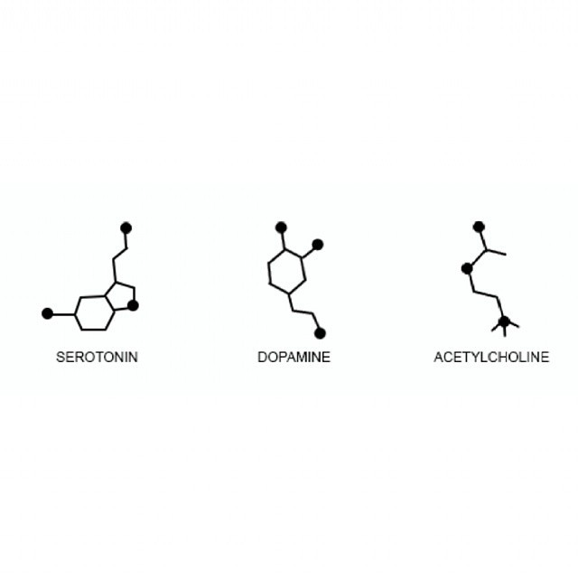 hotphotography:Neurotransmitters #instasize