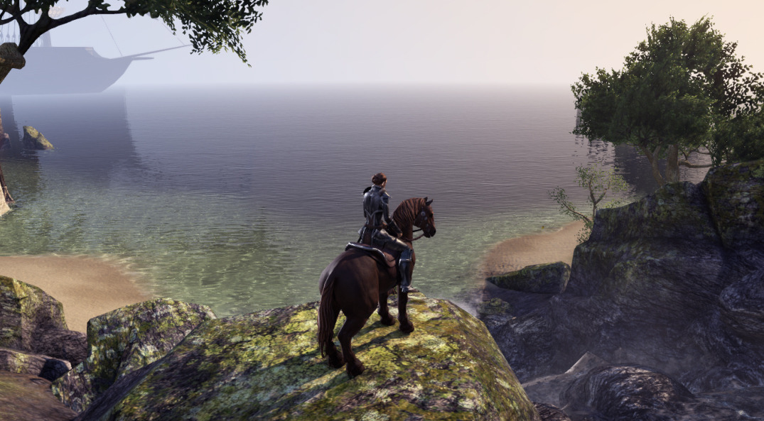 if you play The Elder Scrolls Online. my nickname is Miyalane. Aldmeri Dominion (NA