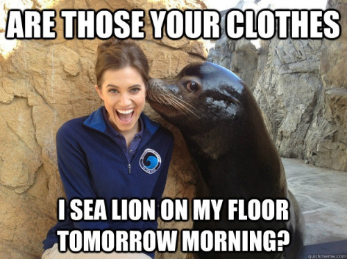 haha-woww:  hilarioushumorfromouterspace:  Stay away from this blog if you hate laughing!  haha…. woww….