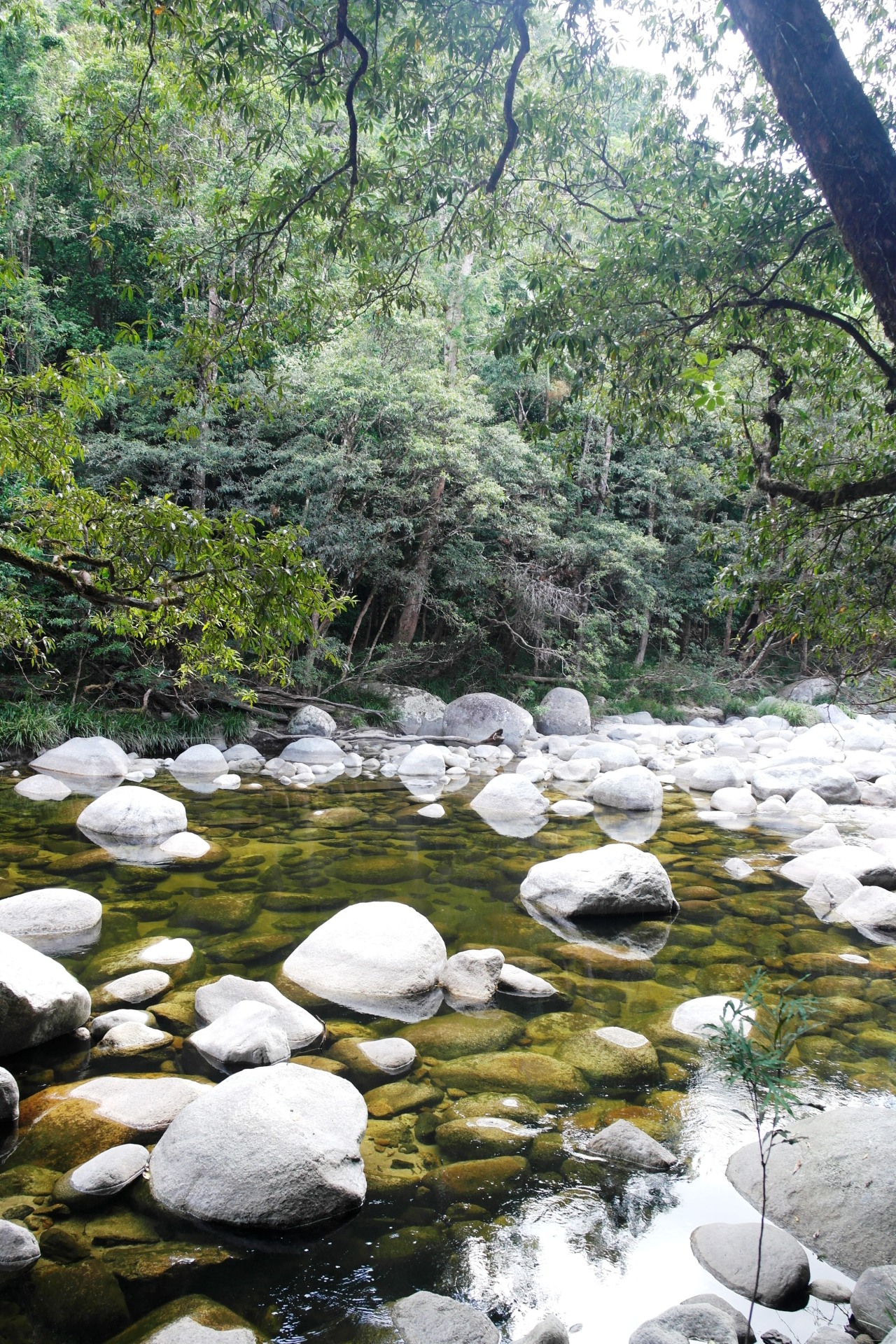 sublim-ature:  Mossman River, Queensland, AustraliaMax Slender 