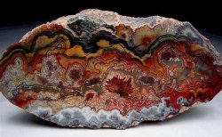 forevernoon:  Mexican Crazy Lace Agate. 