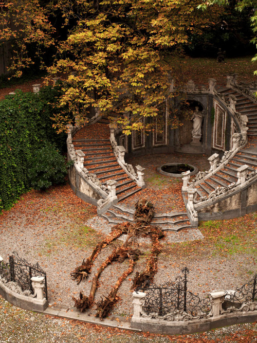 itscolossal:A Skeleton of Found Roots and Tree Limbs Heralds the Beginning of Fall in Italy