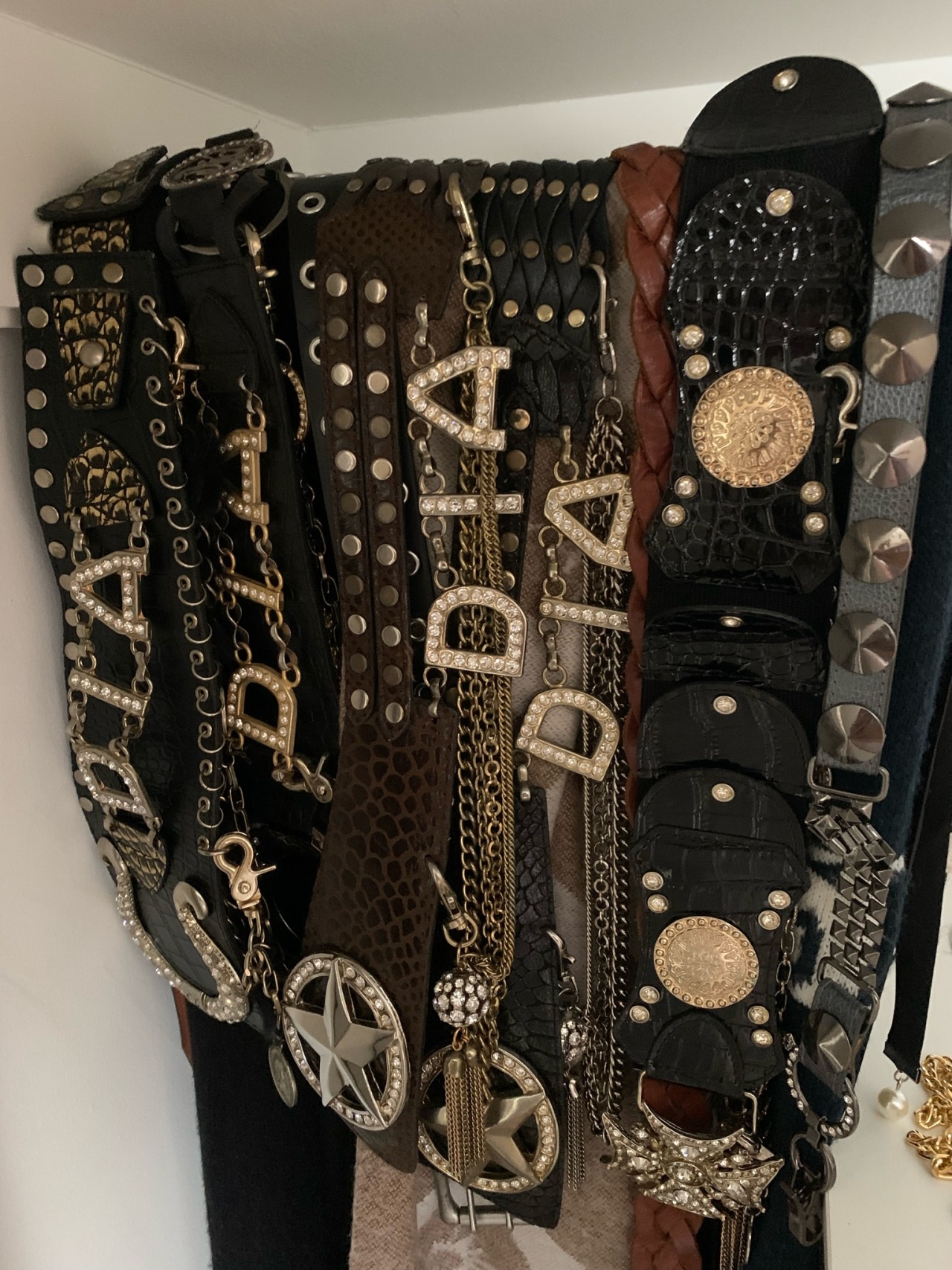 PLANET OF FREEDOM — my collection of d.i.a belts❤️
