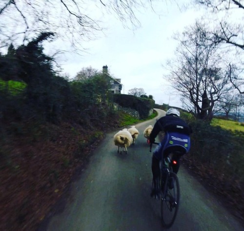 youcantbuyland:Repost from @danevanscycling - @sionharlow can only put the watts out when he’s chasi