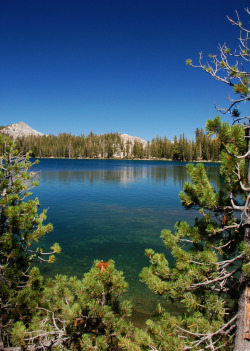 breathtakingdestinations:  May Lake - Yosemite National Park - California - USA (von Bill Gracey)