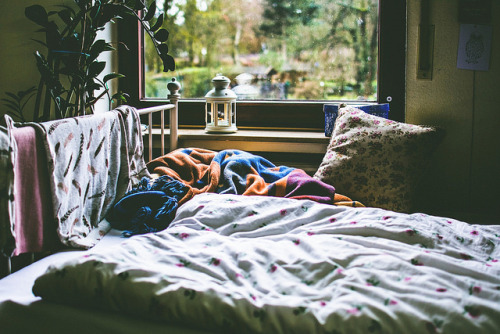 recordtaste:  let 2016 come by ivvy million on Flickr.