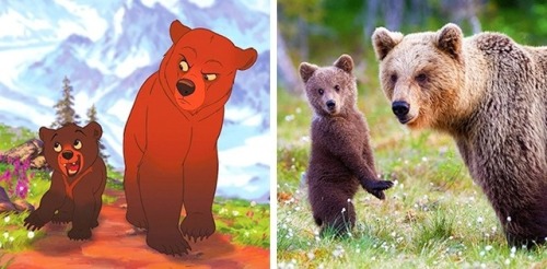 pizzaotter:  pr1nceshawn:    Animals Who Are Almost-Exact Copies Of Animated Movie Characters.  I LOVE THIS.